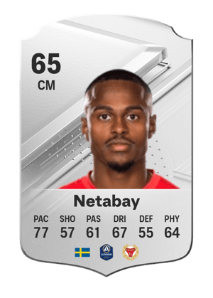 Nahom Girmai Netabay