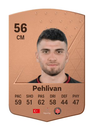 Muhammed Egemen Pehlivan