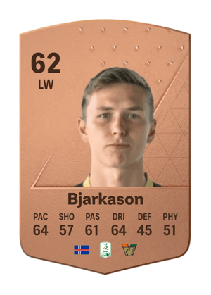 Bjarki Steinn Bjarkason
