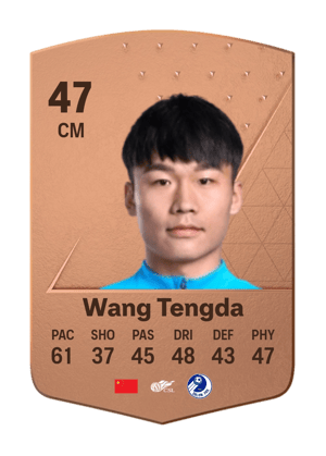 Wang Tengda