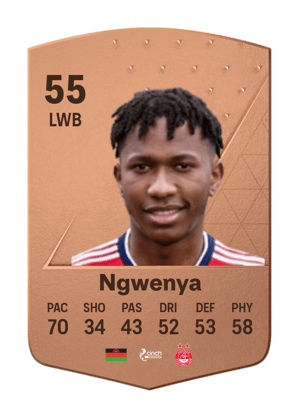 Kieran Ngwenya