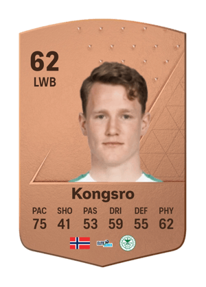 Vegard Kongsro