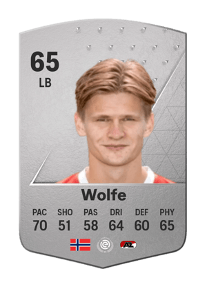 David Møller Wolfe