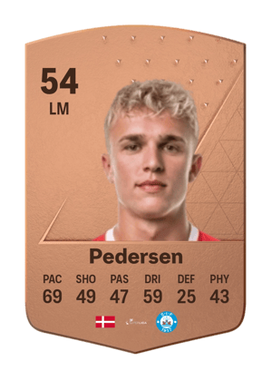 Niclas Holm Pedersen