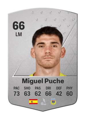 Miguel Puche