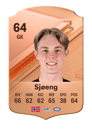 Magnus Sjøeng