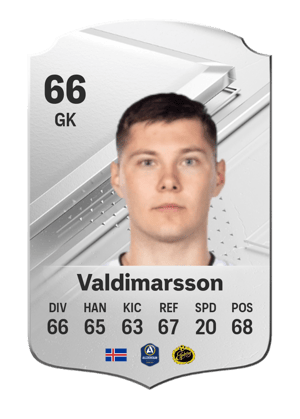 Hakon Valdimarsson