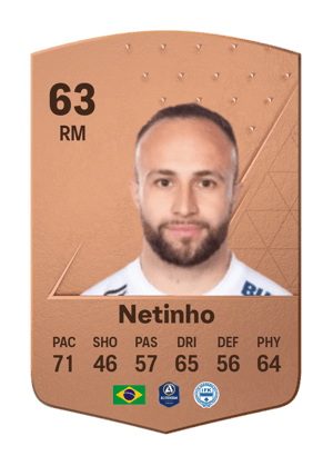 Netinho