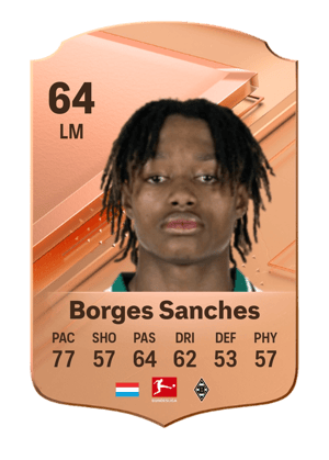 Yvandro Borges Sanches