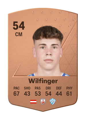 Fabian Wilfinger