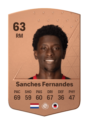 Derensili Sanches Fernandes