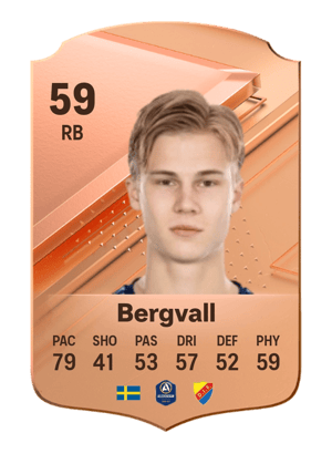 Theo Bergvall