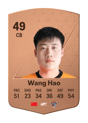 Wang Hao