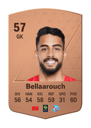 Alaa Bellaarouch