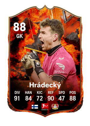 Lukáš Hrádecký