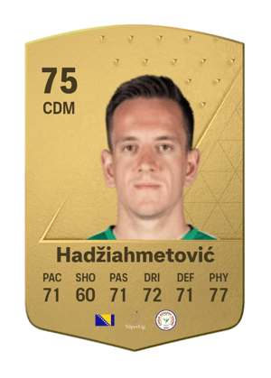 Amir Hadžiahmetović