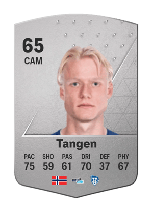 Harald Nilsen Tangen