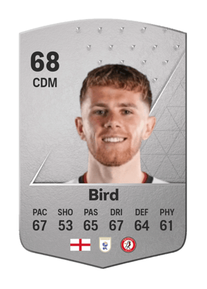 Max Bird