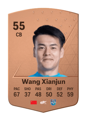 Wang Xianjun