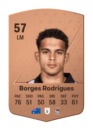 Raphael Borges Rodrigues