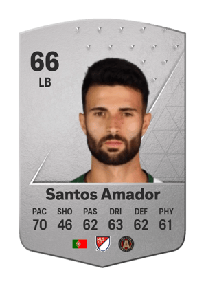 Pedro Miguel Santos Amador