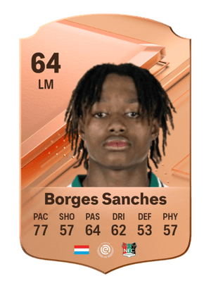 Yvandro Borges Sanches