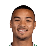 Allan Michaël Delferrière