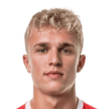 Niclas Holm Pedersen