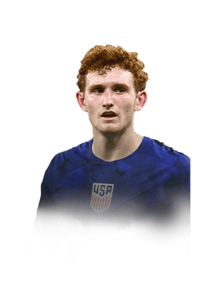 Josh Sargent