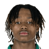 Yvandro Borges Sanches