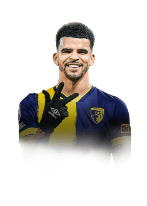 Dominic Solanke
