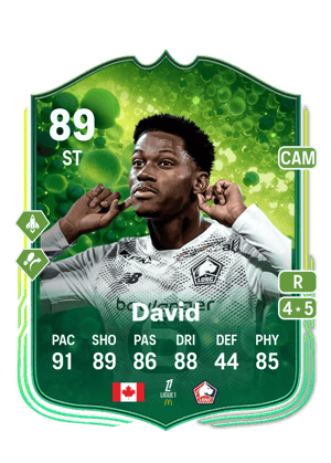 David - 89 - Grassroot Greats