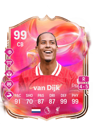 van Dijk - 99 - FUTTIES