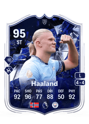Erling Haaland