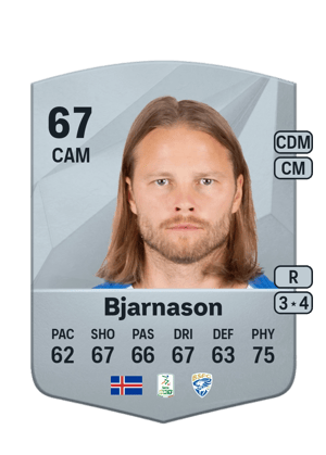 Birkir Bjarnason