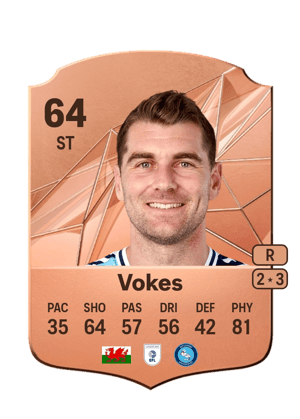 Sam Vokes