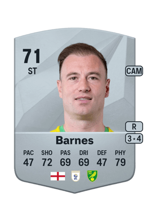 Ashley Barnes