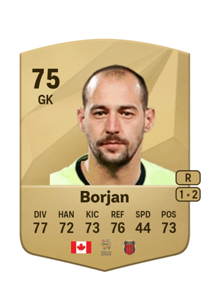Milan Borjan