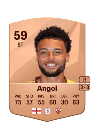 Lee Angol