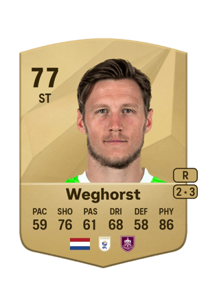Wout Weghorst