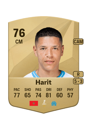 Amine Harit