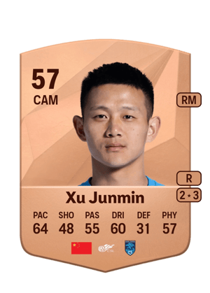 Xu Junmin