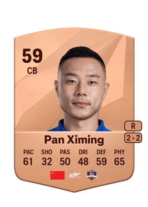Pan Ximing