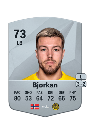 Fredrik Andre Bjørkan