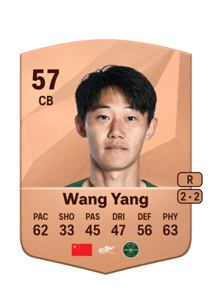 Wang Yang