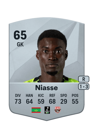 Babacar Niasse