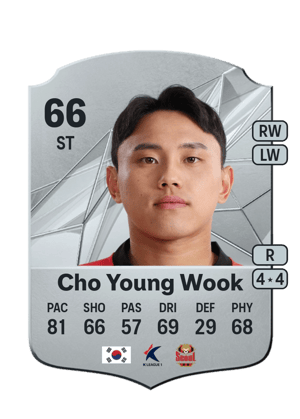 Cho Young Wook