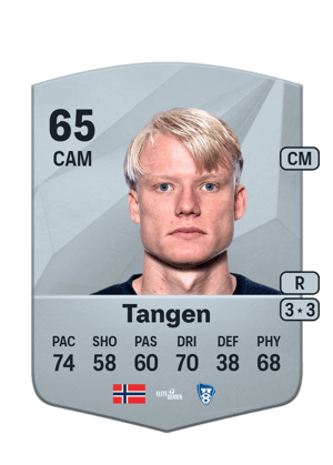 Harald Nilsen Tangen