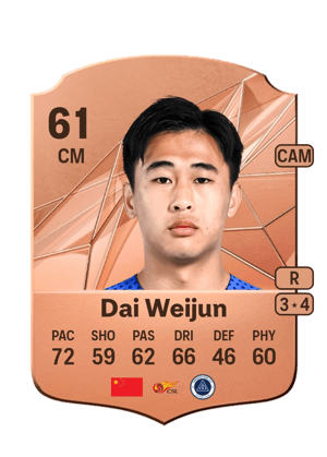 Dai Weijun