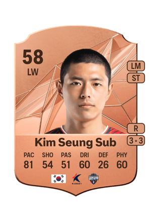 Kim Seung Sub